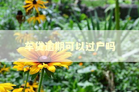 车贷逾期可以过户吗