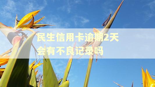 民生信用卡逾期2天会有不良记录吗