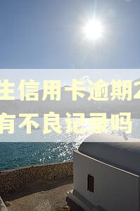 民生信用卡逾期2天会有不良记录吗