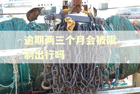 逾期两三个月会被限制出行吗