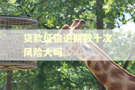 贷款征信逾期数十次风险大吗