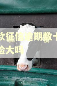 贷款征信逾期数十次风险大吗 贷款征信逾期数十次风险大吗