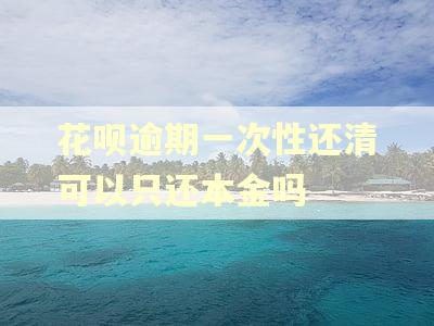 花呗逾期一次性还清可以只还本金吗