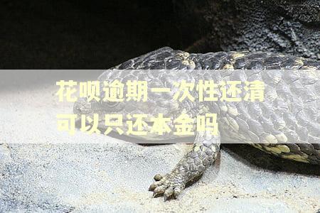 花呗逾期一次性还清可以只还本金吗