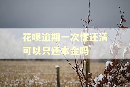 花呗逾期一次性还清可以只还本金吗 花呗逾期一次性还清可以只还本金吗