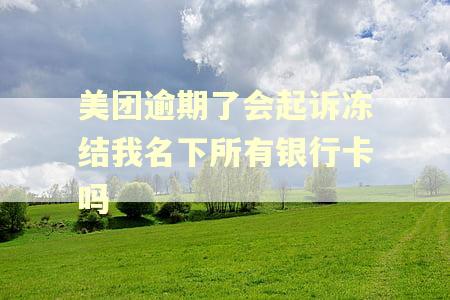 美团逾期了会起诉冻结我名下所有银行卡吗