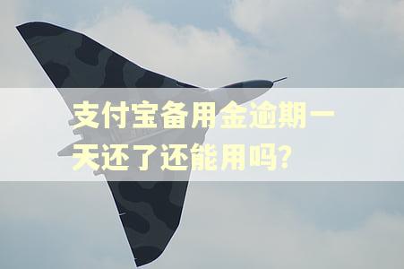 支付宝备用金逾期一天还了还能用吗？