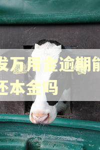 浦发万用金逾期能协商还本金吗