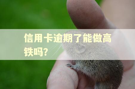 信用卡逾期了能做高铁吗？