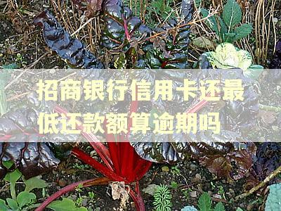 招商银行信用卡还最低还款额算逾期吗