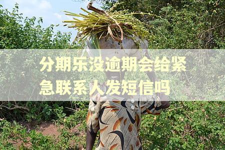 分期乐没逾期会给紧急联系人发短信吗