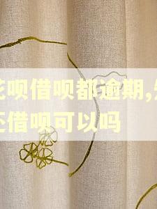 花呗借呗都逾期,先还借呗可以吗