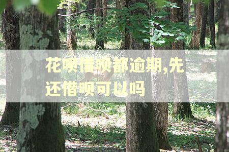 花呗借呗都逾期,先还借呗可以吗
