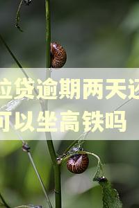 微粒贷逾期两天还款后可以坐高铁吗
