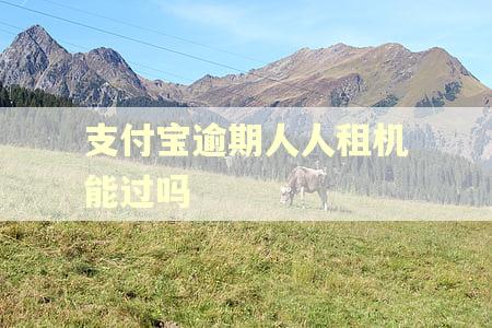支付宝逾期人人租机能过吗