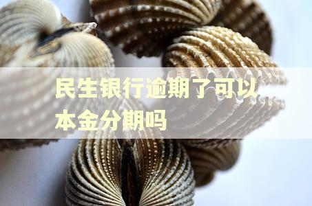 民生银行逾期了可以本金分期吗 民生银行逾期了可以本金分期吗