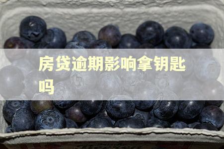 房贷逾期影响拿钥匙吗