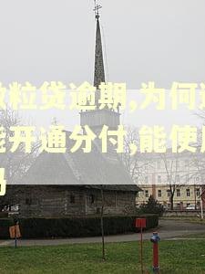 微粒贷逾期,为何还能开通分付,能使用吗