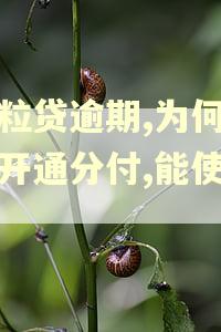 微粒贷逾期,为何还能开通分付,能使用吗