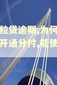 微粒贷逾期,为何还能开通分付,能使用吗