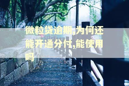 微粒贷逾期,为何还能开通分付,能使用吗