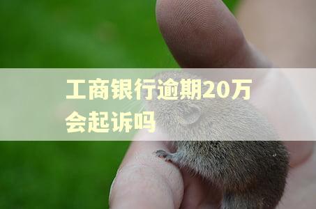 工商银行逾期20万会起诉吗 工商银行逾期20万会起诉吗