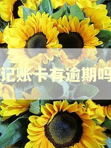 记账卡有逾期吗