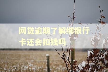 网贷逾期了解绑银行卡还会扣钱吗 网贷逾期了解绑银行卡还会扣钱吗