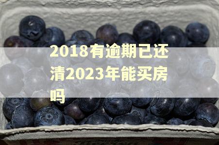 2018有逾期已还清2023年能买房吗