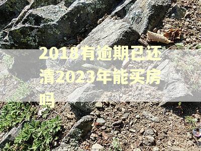 2018有逾期已还清2023年能买房吗