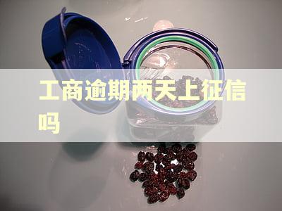 工商逾期两天上征信吗