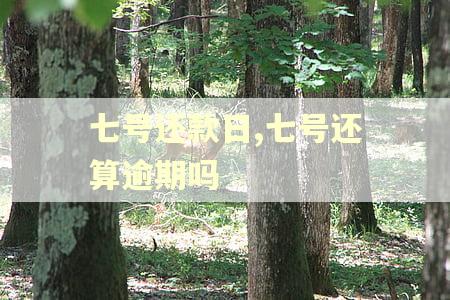 七号还款日,七号还算逾期吗