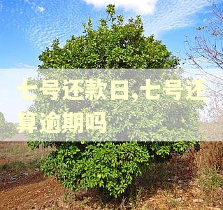 七号还款日,七号还算逾期吗