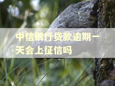 中信银行贷款逾期一天会上征信吗