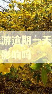 提钱游逾期一天对征信会影响吗