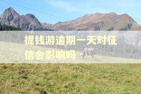 提钱游逾期一天对征信会影响吗 提钱游逾期一天对征信会影响吗