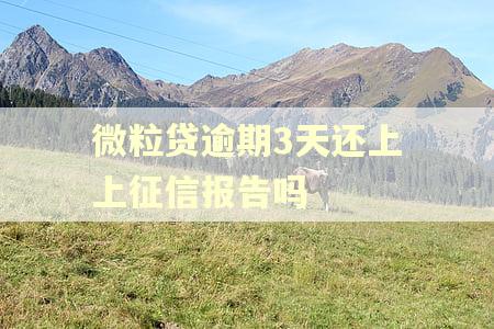 微粒贷逾期3天还上上征信报告吗