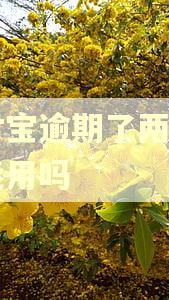 支付宝逾期了两个月还能用吗 支付宝逾期了两个月还能用吗