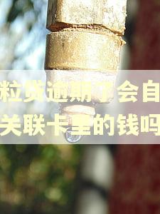 微粒贷逾期了会自动扣关联卡里的钱吗