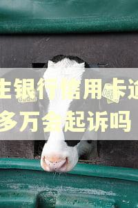民生银行信用卡逾期20多万会起诉吗