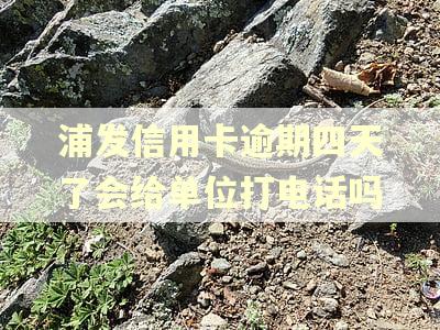 浦发信用卡逾期四天了会给单位打电话吗