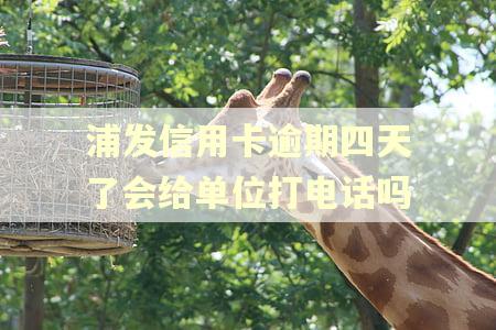 浦发信用卡逾期四天了会给单位打电话吗