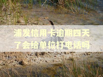 浦发信用卡逾期四天了会给单位打电话吗 浦发信用卡逾期四天了会给单位打电话吗