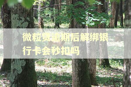 微粒贷逾期后解绑银行卡会秒扣吗