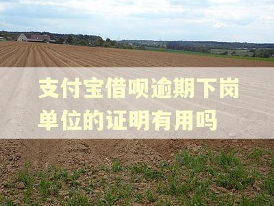 支付宝借呗逾期下岗单位的证明有用吗