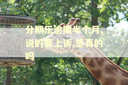 分期乐逾期半个月,说的要上诉,是真的吗