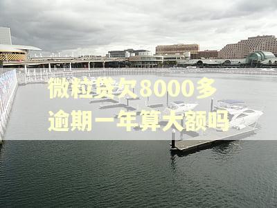 微粒贷欠8000多逾期一年算大额吗