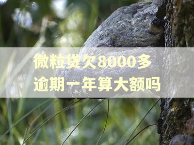 微粒贷欠8000多逾期一年算大额吗