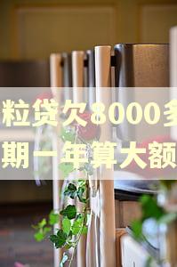 微粒贷欠8000多逾期一年算大额吗