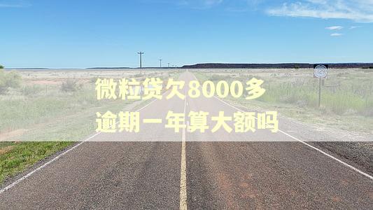 微粒贷欠8000多逾期一年算大额吗